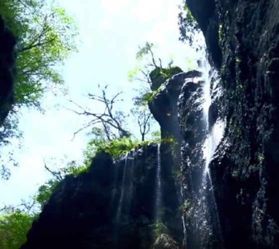 青山綠水，白龍江畔江畔息白鷺，兩岸綠橄欖入眼的都是純樸自然枝上花開(kāi)，春來(lái)水暖魚(yú)蝦戲水，鳥(niǎo)語(yǔ)花香心中充滿(mǎn)著舒暢之感祥宇生態(tài)產(chǎn)業(yè)園，位于隴南市武..